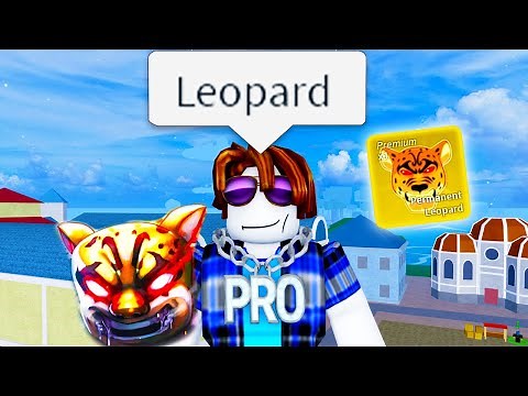 The Roblox Blox Fruits Experience 9