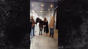 Horse Pees on Rosanna Scotto's Stilettos During Interview