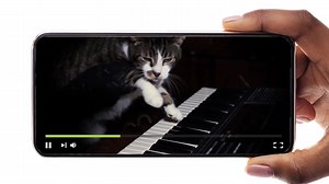 37 reactions | YouTube videos are the first example of collective learning in human history. True or False? This activity asks students to judge the validity of a variety of claims to get them thinking more deeply about collective learning. https://oer-prj.com/38Dl2w0 | OER Project | Facebook