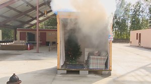 Christmas Tree Safety Tips This Holiday Season