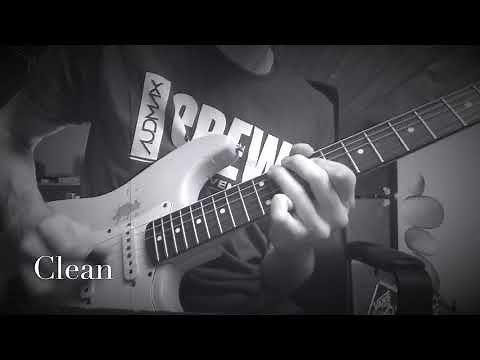 Belief 50W by Honey Bee Amps