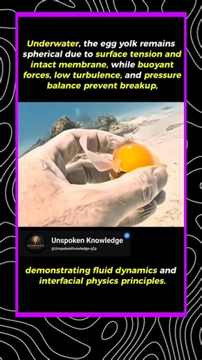 Egg Physics🥚😱 #science