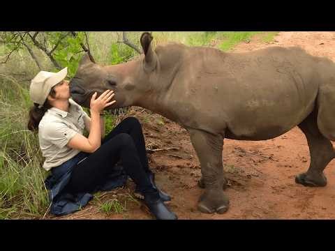 These Animals Run Straight Into Their Humans’ Arms After Years Apart ❤️