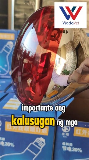 AVAILABLE PO ANG ATING INFRARED HEAT BULB 100 AND 150 WATTS. MAG MESSAGE AT MAG ORDER NA! https://invl.me/cln03ia | Viddavet Ph