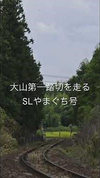 大山第一踏切を走るSLやまぐち号 #鉄道 #train #蒸気機関車 #d51200 #jr西日本 #山口線