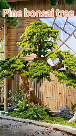 Custom High-Quality Realistic Artificial Pine Bonsai Tree – Décor for Hotels, Malls & Designers