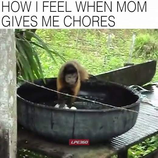 NO MORE LAUNDRY!! | Funny Videos