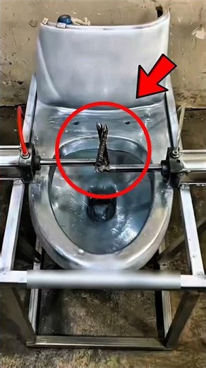 The Future of Toilets Is Finally Here