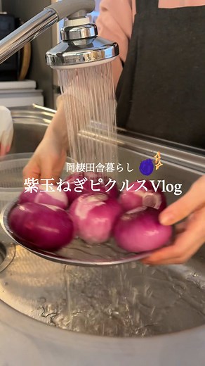 紫玉ねぎピクルス 長期保存レシピ（煮沸消毒・脱気付き）