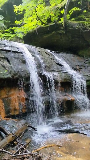 One of the easiest ways to see a waterfall by yourself is to go when there's a chance of rain 🌧️. . Deer skull falls in Bankhead National Forest https://huntsvilleadventurer.com/deer-skull-falls/ . #bankheadnationalforest #alabamathebeautiful #alabamathemagical #alabamawaterfalls #waterfallsofalabama #visitnorthalabama | Huntsville Adventurer