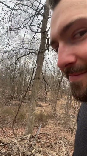 Spring has sprung 🐣 🐸 One of my favorite sounds #spring #peepers