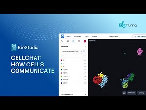 CellChat: Explore how cells communicate