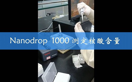 Nanodrop 1000 测定核酸含量