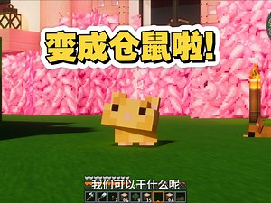 阿田变成仓鼠啦！