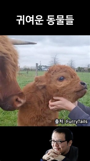 Why are animals in Soulslike games like this? 3 #EldenRing #DarkSouls #Bloodborne #Sekiro #animal...