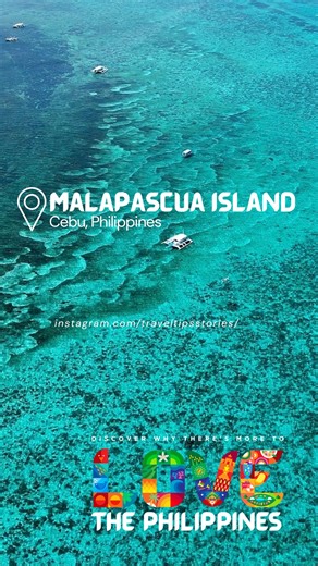 –– Dive into adventure at Malapascua Island, Cebu's aquatic paradise! Swim with majestic thresher sharks amidst stunning underwater vistas, making memories that will last a lifetime. 🦈🏝️ 📍Malapascua Island Cebu,Philippines www.instagram.com/traveltipsstories/ . . . . #Cebu #DestinationPH #malapascuaisland #LoveThePhilippines | Destination PH