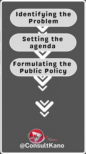 Simple 5 Steps of the Public Policy Process Explained #publicpolicy #policy