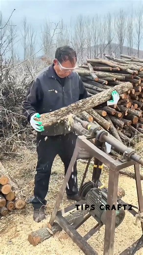 Shiitake Cultivation Prep ：Depth controls inoculation success