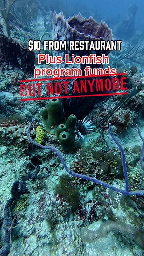 The state is not helping you if you want to do this for a living! In fact, even if you wanted to, it would be pretty much impossible. The cost of doing this is much higher than you might think. You need your own boat which, for most people to buy a new boat adds about a $500-$1000 payment every month depending on the boat you get maybe even more possibly less. Now you have to get a truck capable of pulling. That might be another a couple hundred dollars more than you’re currently spending on you