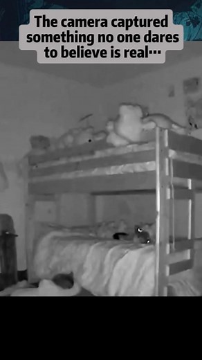 SCARY Videos That'll Creep You Out #Scary #Ghost #HauntedHouse #ParanormalActivity #GhostSighting #CreepyVibes #RealGhostCaughtOnCamera #HauntedPlaces Follow us Disturbing reels into the shadows as we uncover the eerie and unexplained. From ghostly encounters to mysterious phenomena, each video takes you deeper into the unknown. Dare to watch?😱🥹🤯🫣🥶😰😭😭 #DisturbingReels #viral #CreepyContent #DarkVisuals #HorrorReels #CreepyVideos #UnsettlingContent #DarkReality #DisturbingTruth #WeirdVide