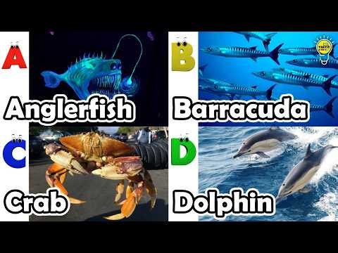 ABC Sea Animals Song | Phonics Alphabet for Kids | Learn Ocean Animals from A to Z