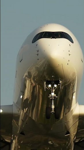 JAL A350 伊丹空港への着陸 Osaka Itami Airport Japan