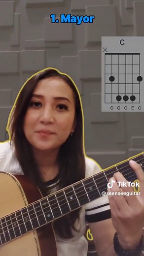 See N See Guitar on TikTok