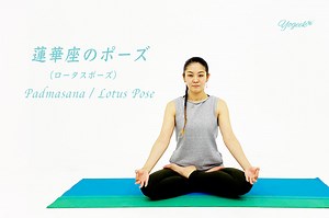 蓮華座（ロータスポーズ）のやり方！できない場合は膝や股関節の柔軟性アップがコツ！