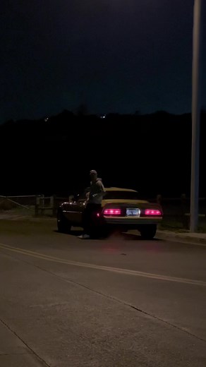 1978 Pontiac Trans Am Firebird Review