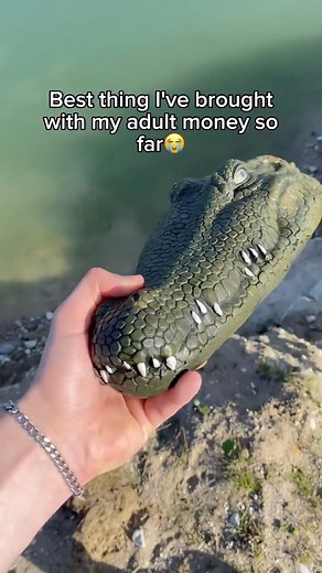DesignTherapy | Remote Controlled Alligator Head Video by : rcgatorboat #alligator #crocodile #gator #prank #joke | Instagram