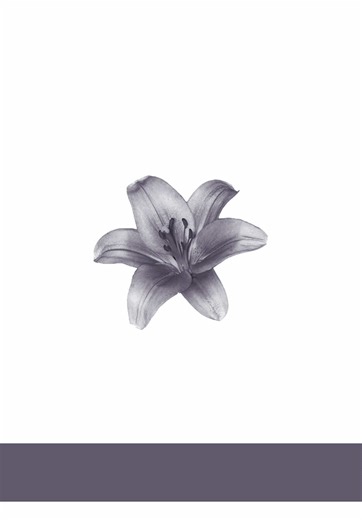 Understanding Doxxing: What It Is and How It Happens