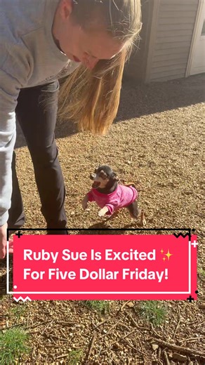 Ruby Sue isn’t the only senior that’s excited! When you donate just $5 to these seniors ongoing hospice care you are reminding them that they are deeply loved by not just us, but their amazing supporters 🫶🏼🥹 #rescuedog #olddogs #seniordog#fyp #dogsoftiktok