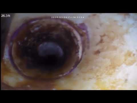 20260306 - Munroe to Under Home