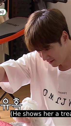 56K views · 246 reactions | CHOI JIN HYUK Movies Vampire in Love |...