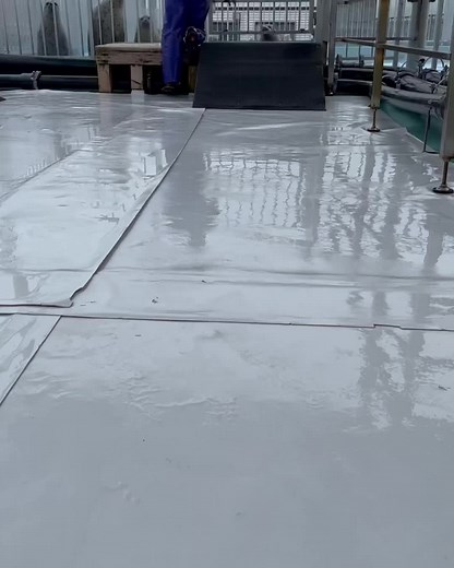 Adorable Seal Compilation - Funny and Heartwarming Videos