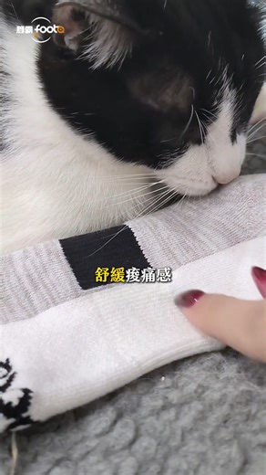 有些疲勞，不是在肩膀 而是在一整天下來的腳底 從早站到晚、來回奔走 你可能早就習慣那種「還撐得住」的感覺 卻忘了，其實腳也需要被好好承接 這雙船型運動襪 https://bit.ly/46MhJnk 不是為了運動而已 而是為了你每天的 走路、站立與生活節奏 足弓有被穩穩托住 踩地的回饋變得溫和 一天下來，腳真的比較不累 而且厚款卻不悶 走久了也不會有異味 連這種小細節，都有被顧到 選一個顏色 穿上它 讓腳先舒服起來 #foota腳霸 #船型運動襪除臭襪 #支撐舒適一次到位 #強除臭★★★★ #日常機能襪 #久站族必備 #腳感很重要 | 腳霸 foota - 你的除臭襪專家