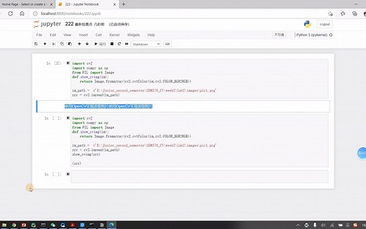 pycharm中jupyter的使用小技巧