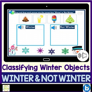 Classifying Winter Objects Winter Boom Cards