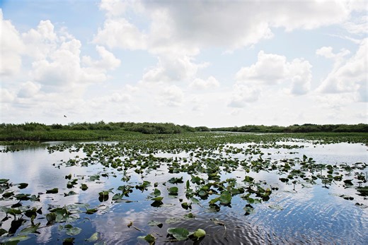 Who are Florida’s largest landowners? The top private landowner owns up to 679,000 acres