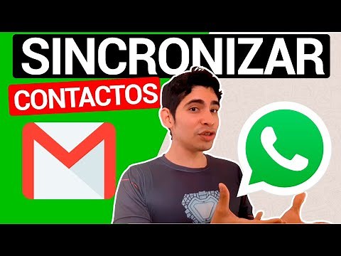 Cómo SINCRONIZAR los CONTACTOS de Gmail con WhatsApp 💚📲 | Cómo RECUPERAR Contactos De Tu Celular 📞