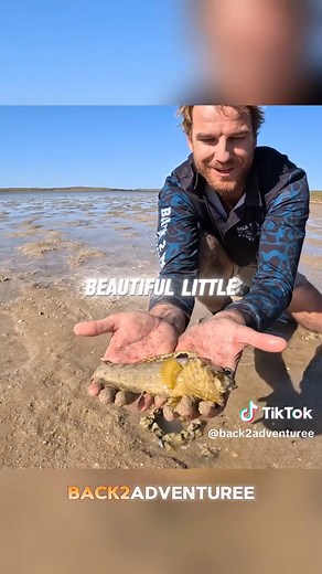 Surviving Without Food and Water: Catch and Cook Tips