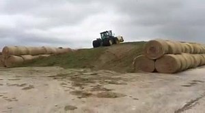 12K views · 57 reactions | Our Brangus and Ultrablack cattle are developed on a forage-based ration so that they are in good condition and ready to work for our customers. This video shows the packer working the greenchop that we have been putting up this week. For information on our Bulls and females, please contact us at 936.624.2333 or info@srrbrangus.com. | SANTA ROSA RANCH | Facebook