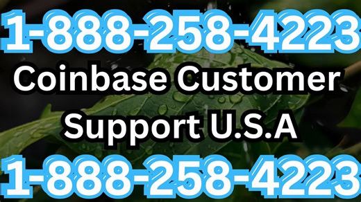 For Query-Instant Help |Coinbase® Customer Service | Official Step-by-Step Guide to Get Support 24*7