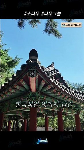 #소나무 #나무그늘 / 강북구 사진 명소 '강북구 그대로 사진관'