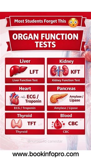 👉 Organ Function Tests You Must Know 😳