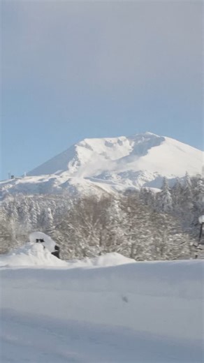 1.3K views · 4 comments | Chad O x Asahikawa Got the legs to keep up with @chadotterstrom as we roll through hidden hills, find the best snow and the best terrain? No drop is too big to send it off during the deep Hokkaido winter, and Chad has a knack for finding them. Expect full days riding to maximise the turns during this rad week.  4-10 January  Link in bio | Mint Tours | Facebook