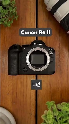 Canon EOS R6 Mark II Shutter Sound Test – Mechanical vs Electronic! 🔊#r6markii #shuttersound