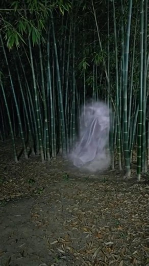 বাঁশ বাগানের ভয়ংকর জীন #ghost #horrorfilm #horror #bhoot #ভুত