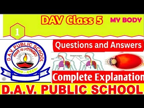 DAV Class 5 Science Chapter 1 My Body Question Answer! My Body Complete Exercise Question Answer!🔥