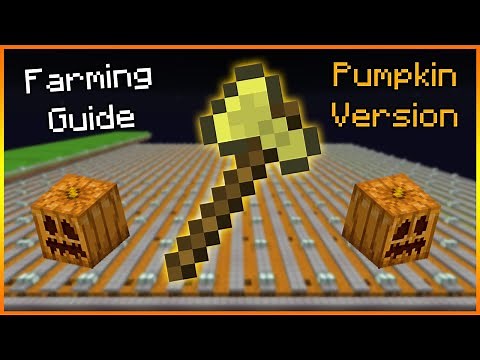 Hypixel Skyblock - How to Farm Guide! (Pumpkin Version)